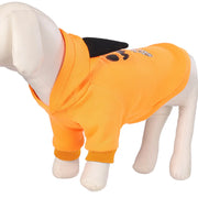 New Product Halloween Pet Clothes